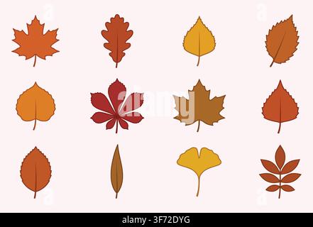 Colorful vector autumn leaves set, fall foliage collection isolated on light background. Stock Vector