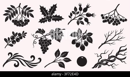 Black silhouette vector berries, leaves, twigs, and botanical branches set isolated on white background. Stock Vector