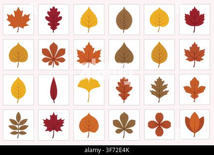 Colorful vector autumn leaves set, fall foliage collection isolated on white background. Stock Vector