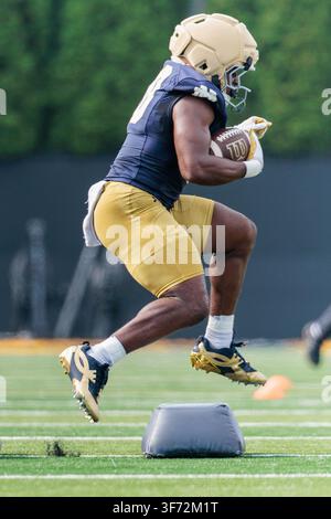 Notre Dame running back Jonaz Walton (20) celebrates his touchdown ...