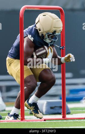 Notre Dame running back Jonaz Walton (20) celebrates his touchdown ...