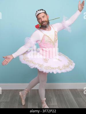 Bearded adult man in a pink tutu, tiara and pointe shoes performs a playful ballet pose while holding a red rose in a studio. Stock Photo