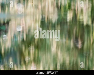 Abstract pastel green and beige vertical texture background with soft bokeh. Ideal for organic cosmetic product backdrop, luxury spa salon banner, wellness and eco friendly packaging design Stock Photo