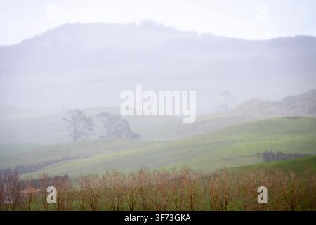 Morning mist over hills, Pokeno, Waikato, North Island, New Zealand Stock Photo