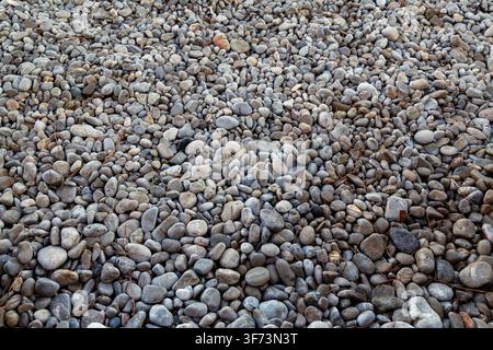 Rounded pebbles cover a beach surface in varied shades of gray and beige. Small twigs lie between the stones. The image fits backgrounds, texture. Stock Photo