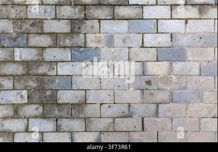 Collection of abstract brick stone and pavement textures featuring weathered masonry cobblestone and ornate tile surfaces Stock Photo