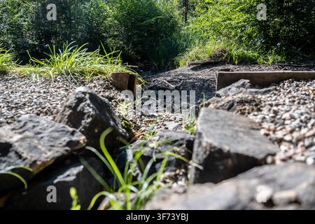 A dried out riverbed with cracked soil and stones reflects the environmental consequences of extreme heat, drought, and climate change in nature Stock Photo
