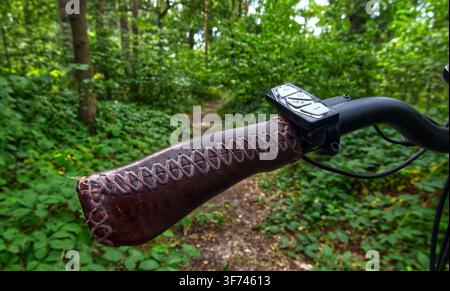 Handlebar of an e bike with a decorative leather grip, showing a remote control and a narrow path through green woods Stock Photo