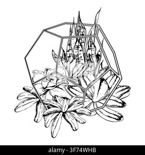Geometric multi sided wire planter with snake plant, kalanchoe and echeveria succulent varieties. Refined vector line artwork hand drawn in ink Stock Vector