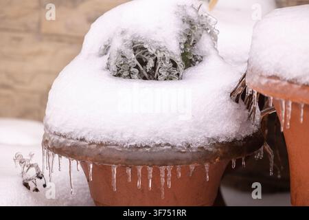 Snow covered terracotta garden pots with hanging icicles during a cold winter day frozen plant life and textured brick surfaces in a quiet residential Stock Photo