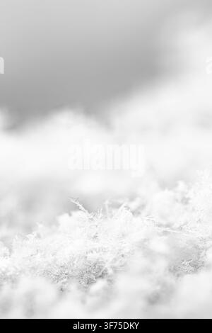 Close up delicate white frozen snowflakes scattered on a blurred ground surface showcasing intricate crystalline patterns of cold winter weather durin Stock Photo