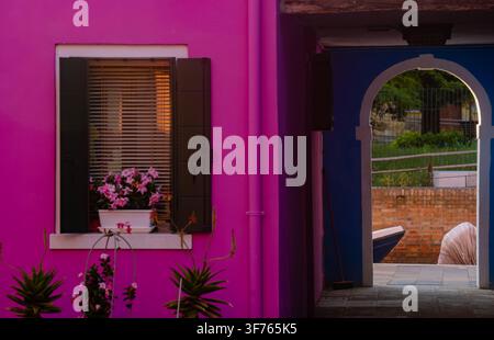 Burano, Italy - June 20, 2026: Vibrant magenta facade in Burano, Italy, featuring a window with shutters and pink flowers next to a blue arched passag Stock Photo