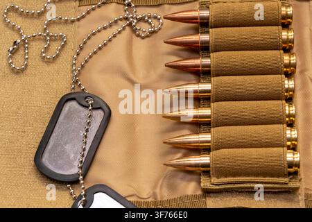 Metal dog tags and several rifle cartridges in a tan fabric holder are shown in a close-up composition on tactical material. Stock Photo