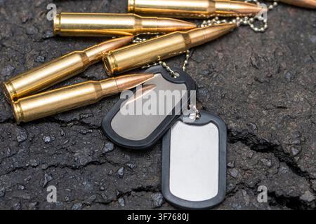 Metal dog tags and several rifle cartridges are arranged on a rough cracked asphalt surface. Stock Photo
