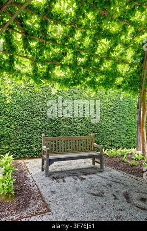 Winding gravel pathway curving through a vibrant herbaceous perennial border and manicured hedges at Castle Drogo in Devon, shot on 25.08.2024. Stock Photo