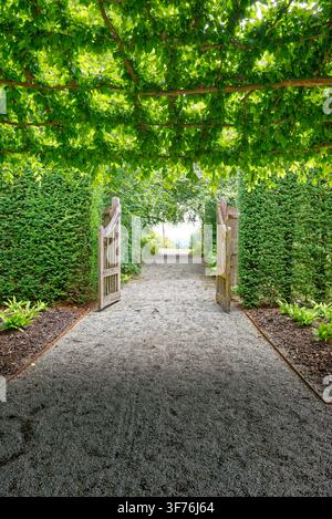 Winding gravel pathway curving through a vibrant herbaceous perennial border and manicured hedges at Castle Drogo in Devon, shot on 25.08.2024. Stock Photo