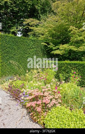 Winding gravel pathway curving through a vibrant herbaceous perennial border and manicured hedges at Castle Drogo in Devon, shot on 25.08.2024. Stock Photo