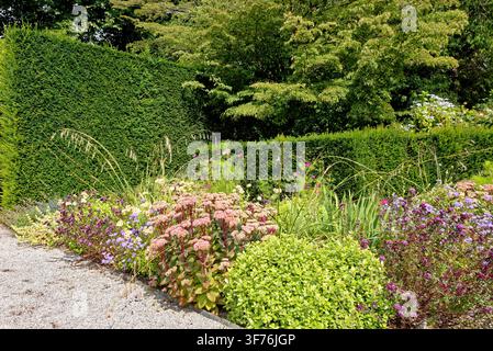 Winding gravel pathway curving through a vibrant herbaceous perennial border and manicured hedges at Castle Drogo in Devon, shot on 25.08.2024. Stock Photo