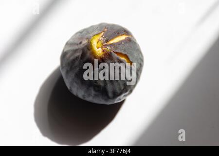 A single ripe and dark purple fig on a white surface, cast in strong, direct sunlight with a sharp shadow. Stock Photo