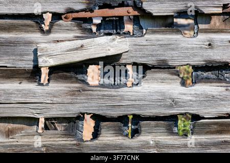 Charred and weathered old wooden wall of burnt building with rusty iron hinges and burnt holes Stock Photo