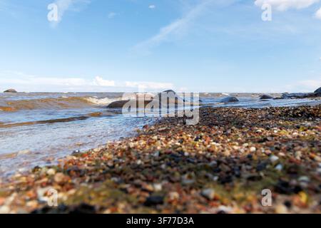 A very detailed close-up shot focusing entirely on the ground texture of tiny, multicolored pebbles and gravel mixed with wet sand on a sea beach. Stock Photo
