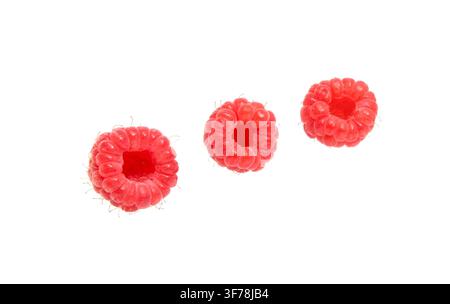 Raspberry. Rasberries isolated on white background. Raspberry collection. Stock Photo