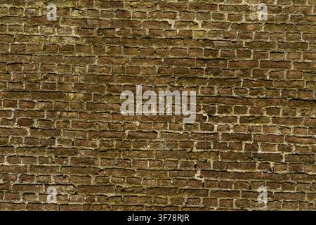 A close-up view of a rustic dark brown brick wall with weathered mortar joints. Stock Photo