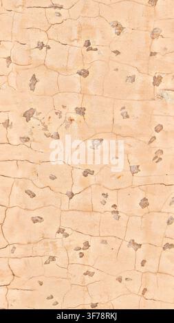 Light beige cracked plaster wall featuring fine cracks and small aggregate speckles. Stock Photo