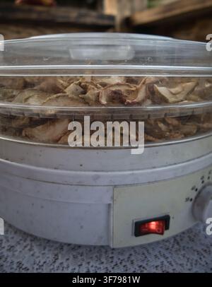 Food dehydrator with dried apple slices, homemade fruit drying and food preservation Stock Photo