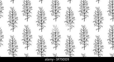 Seamless pattern featuring hand-drawn black and white hedge hyssop botanical branches in clean line art on a white background. Ideal for wallpaper, te Stock Vector
