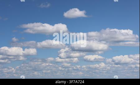 Fluffy white cumulus clouds drifting across a bright blue sky, captured in a wide atmospheric landscape with abundant copy space, creating a serene an Stock Photo