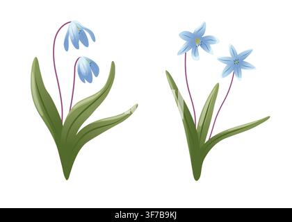 Snowdrop flower sprigs with white bell-shaped blooms, long green leaves and mauve stems isolated on white, vector flat botanical illustration set for Stock Vector