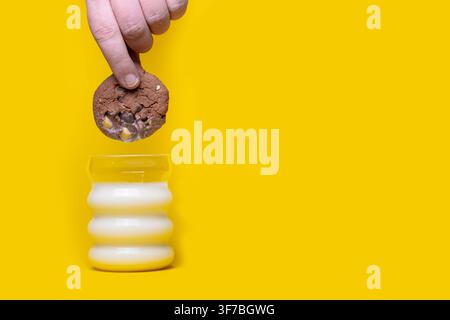 Hand holding a chocolate chip cookie above a glass filled with milk on a yellow background. Stock Photo
