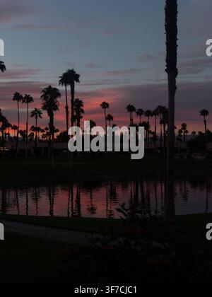 Sunset over a pond with palm trees and cloudy sky behind Stock Photo