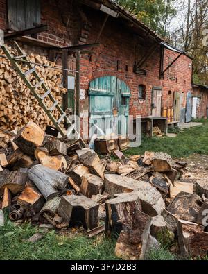 Rustic rural scene in Kaliningrad Oblast: brick shed, chopped wood Stock Photo