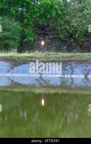 Glowing outdoor lamp beside a calm pond reflects on green water with lush trees and vegetation creating a peaceful natural waterside landscape Stock Photo
