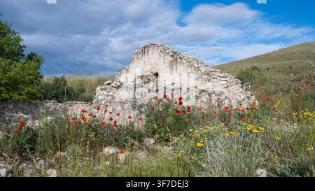 Poppies and other wildflowers and old farm building, Bulgaria Stock Photo