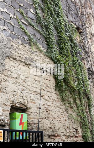 Green ivy plant covering parts of an old weathered brick and concrete wall, featuring outdoor string lights and a modern neon box creating a blend of Stock Photo