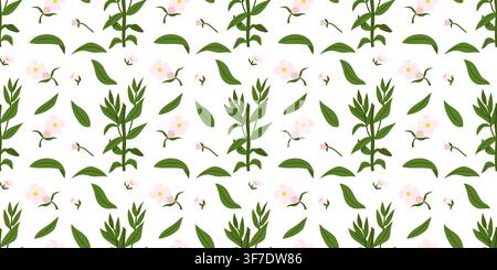 Seamless pattern featuring green hedge hyssop medicinal plants with delicate pale pink flowers on a white background in a hand-drawn flat style. Ideal Stock Vector