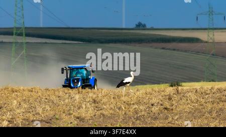 White stork standing on a harvested field as an agricultural sprayer works in the background Stock Photo