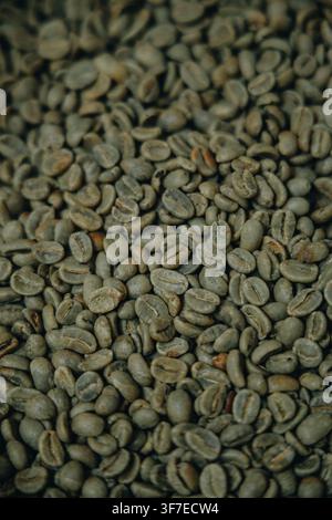 Close-up detail of unroasted green coffee beans, highlighting the natural texture, colour and characteristics of raw coffee prior to the roasting proc Stock Photo
