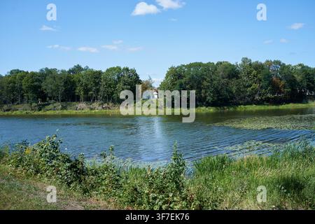 Lush green trees line a tranquil lake. Sky is bright blue with scattered clouds. Water reflects nature's calm and serenity. Grass and shrubs grow alon Stock Photo
