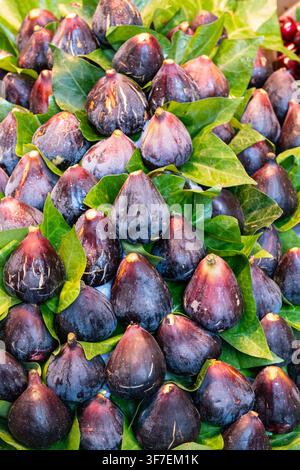A close-up shot of fresh purple-black figs arranged on green leaves. Stock Photo