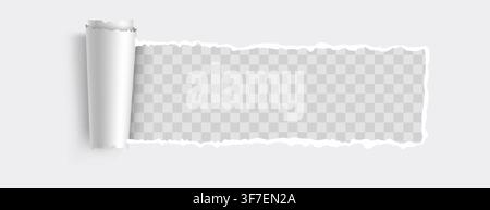 Torn white paper strip with curled edge on transparent background. Useful banner for your design. Vector illustration Stock Vector