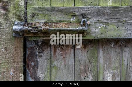 A very old, rusty door bolt , on an old, wooden door Stock Photo