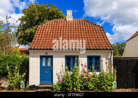 Charming small white cottage featuring a blue door, red tiled roof and hollyhocks blooming in front garden in Ebeltoft old town Stock Photo