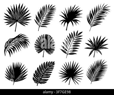 Black silhouettes of tropical palm frond leaves. Stock Vector