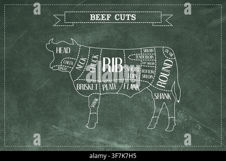 Beef Cuts Diagram with Cow Meat Butchery Sections on Green Chalkboard Stock Photo