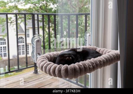 Black cat sleeping on a plush window perch, enjoying a safe elevated space by the glass door. Cozy pet environment with outdoor views Stock Photo