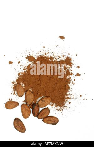 Cocoa powder and cocoa beans Stock Photo